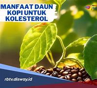 Apakah Kopi Pahit Bisa Menurunkan Kolesterol